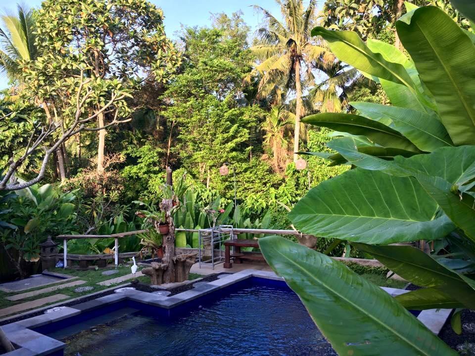 Kerta Family Bed And Breakfast Ubud Eksteriør bilde